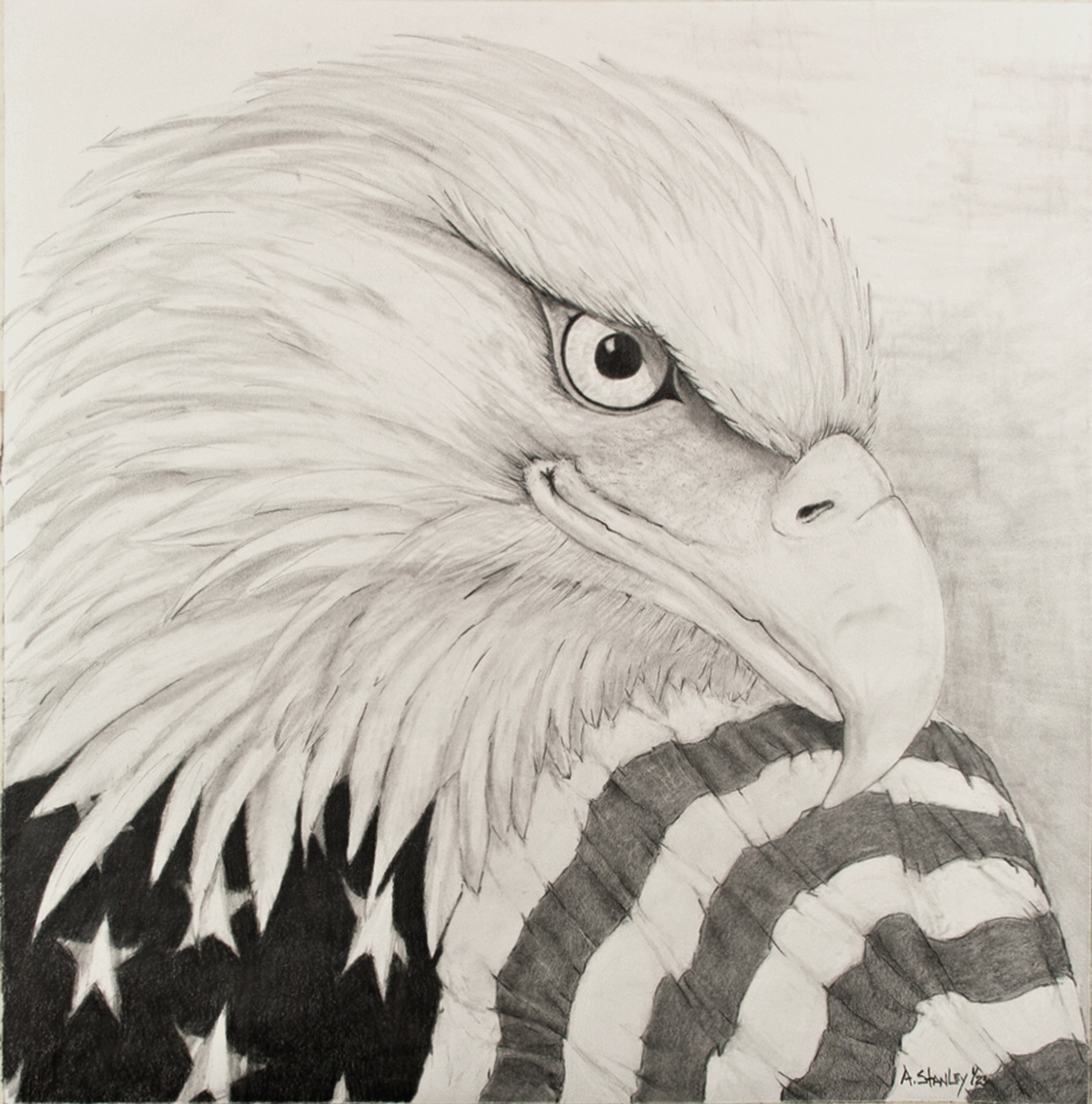 American Eagle Prints - Alan Stanley Art